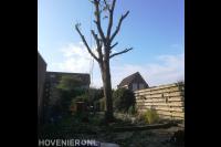 Hoveniersbedrijf Joël Breedveld