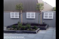 Plantenbakken met nieuwe beplanting en leibomen