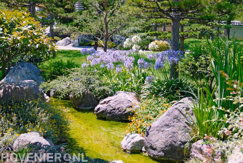 Hoveniersbedrijf Sjors