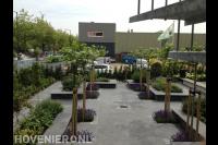 Bedrijfstuin met bloembakken van stapelblokken en dakplatanen