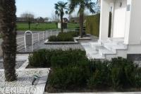 Moderne tuin met split, taxus en palmbomen