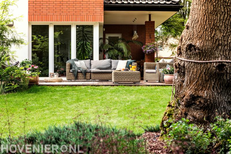 Dotinga's Tuinaanleg en Onderhoud