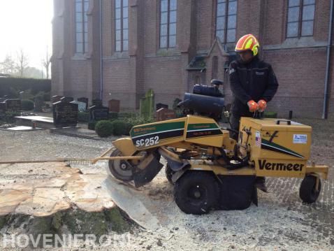 Boomstronk verwijderen met stobbenfrees