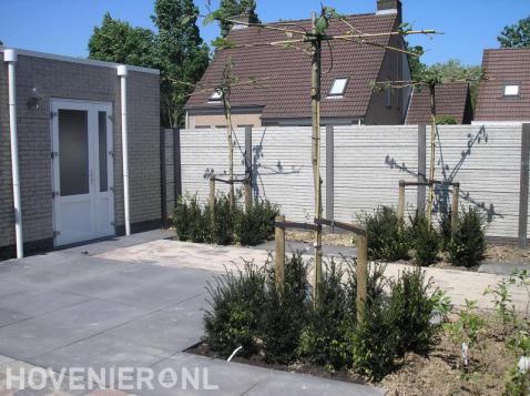 Moderne tuin met strakke bestrating en leibomen