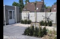 Moderne tuin met strakke bestrating en leibomen