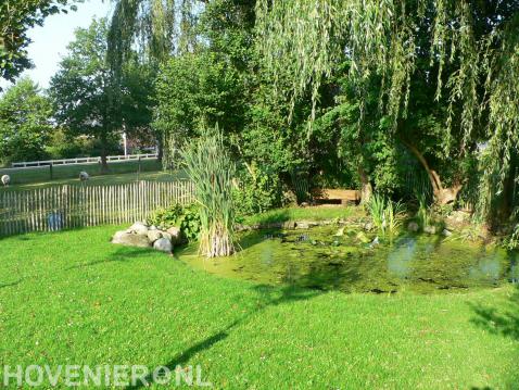 Groene tuin met ronde natuurlijke vijver