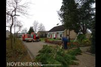 Boom kappen