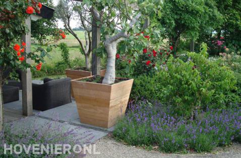 Houten plantenbakken bij terras