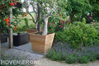 Houten plantenbakken bij terras