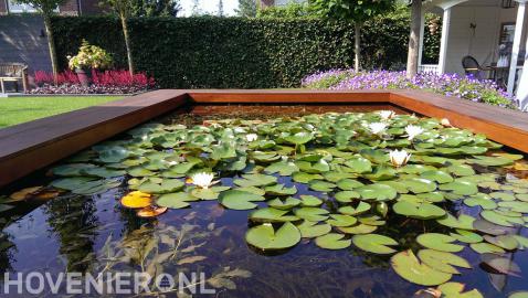 Heldere vijver met waterlelies en zuurstofplanten