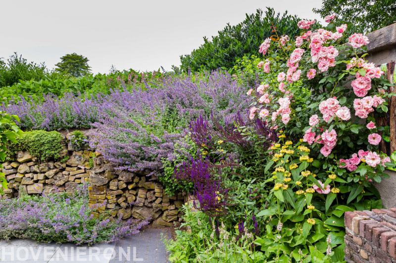 Hoveniersbedrijf De Beuk