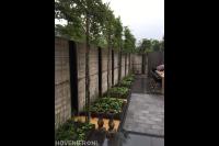 Strakke achtertuin met bestrating, schutting en leibomen 2