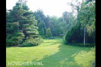 Ruime groene tuin
