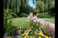 Groene achtertuin met groot gazon