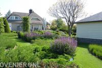 Villatuin met veel groen en kleurrijke planten 2