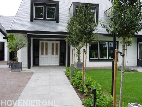 Strakke voortuin bij moderne villa