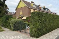 Haagonderhoud Ilpendam | Coniferenhaag strak en gezond gesnoeid