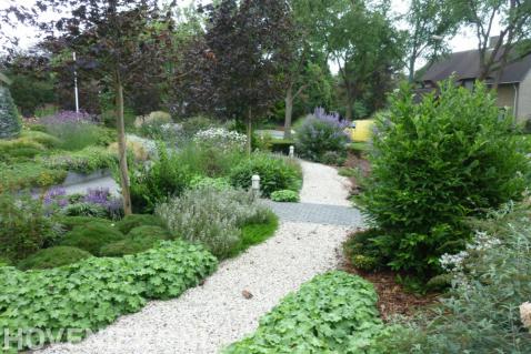 Groene tuin met kleurrijke planten en looppad van grind