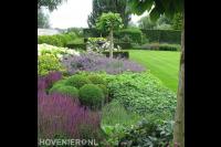 Ruime villatuin met groot gazon en veel groen 4