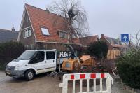 Boom laten snoeien in Ilpendam | 31+ jaar ervaring
