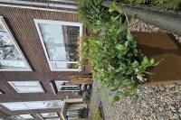 Bosman bouwt, tuinhout en schilderwerken