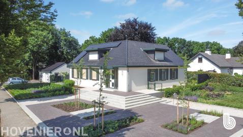 Moderne particulieren tuin