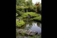 Oosterste tuin met vijver 1