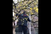 Hoveniersbedrijf Bloemin