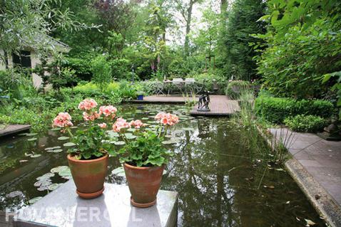 Terras bij grote vijver