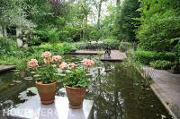 Terras bij grote vijver