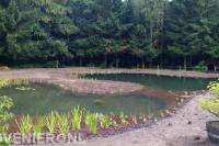 Zwemvijver met helofytenfilter