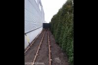 Bouwen van houten talud 1