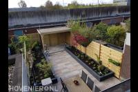 Achtertuin met bestrating, borders en houten overkapping