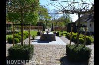 Klassieke tuin met buxusbollen en leibomen bij terras 1