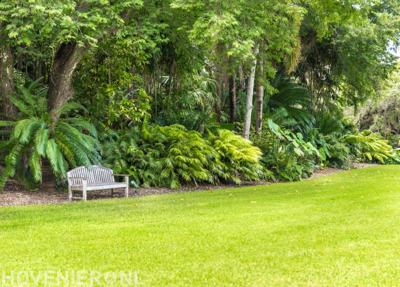 Hoveniersbedrijf Van Kempen