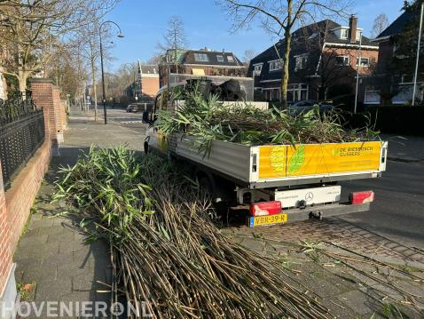 Tuinonderhoud Dordrecht