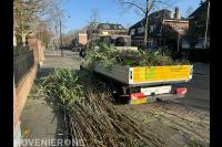 Tuinonderhoud Dordrecht