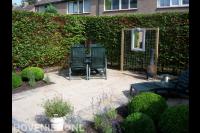 Kleine achtertuin met terras en veel groen 3