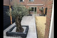 Jordy Nesselaar Bestratingen