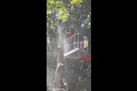 Boom kappen met inzet van hoogwerker