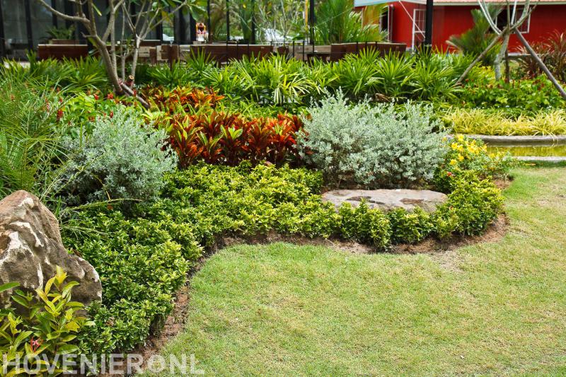 Klaas Schroevers De Tuinspecialist