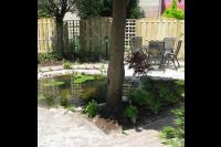 Nieuwe tuin met vijver