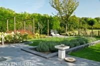 Groene tuin met kleurrijke beplanting en houten pergola's