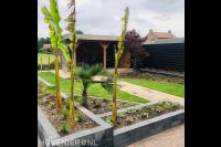 Tuinaanleg met gazon, vlonder, borders en plantenbakken