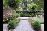 Groene achtertuin met kleurrijk bloeiende planten