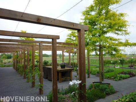 Tuin met grote houten pergola boven terras en veel groen 2