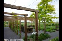 Tuin met grote houten pergola boven terras en veel groen 2