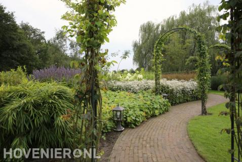 Metalen pergola's met klimplanten over tuinpad