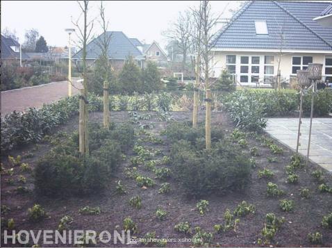 Nieuwe beplanting voortuin