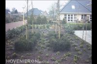 Nieuwe beplanting voortuin